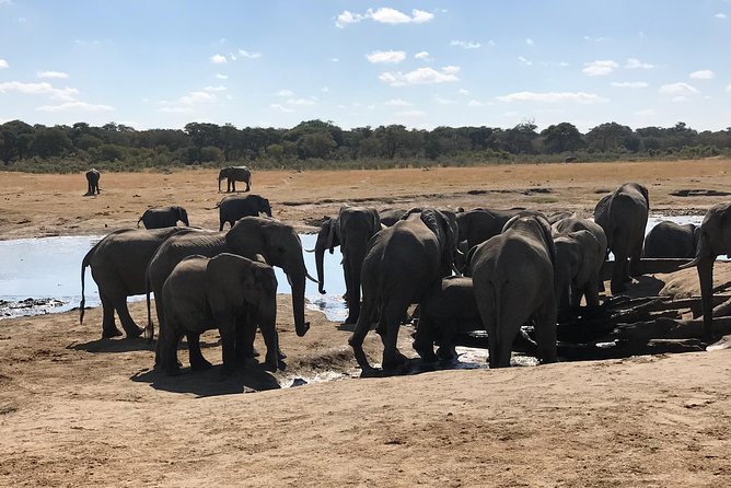 Five-Day Hwange NP, Chobe NP and Victoria Falls Combo - Key points at a glance
