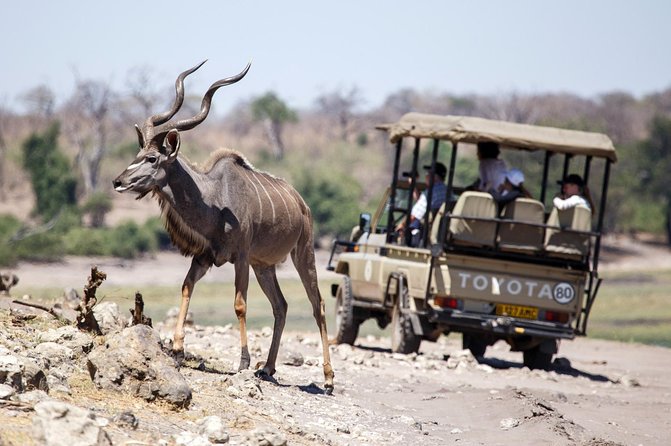 Five-Day Hwange NP, Chobe NP and Victoria Falls Combo - Day 3: The great drama of Victoria Falls