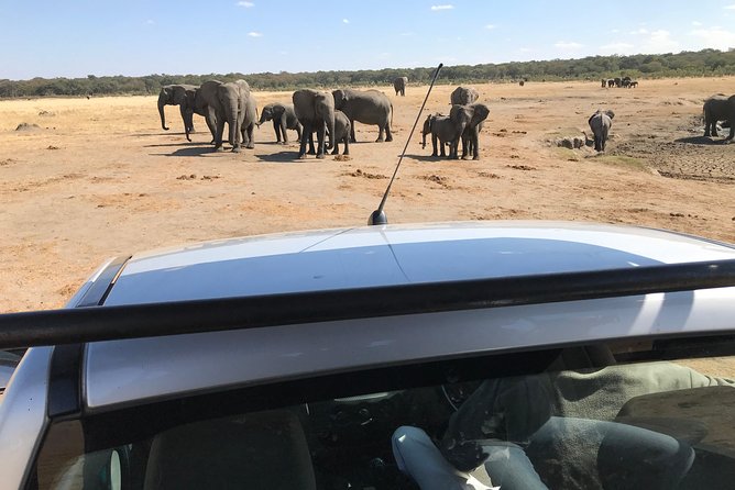 Five-Day Hwange NP, Chobe NP and Victoria Falls Combo - Day 5: A flexible finish around your flight