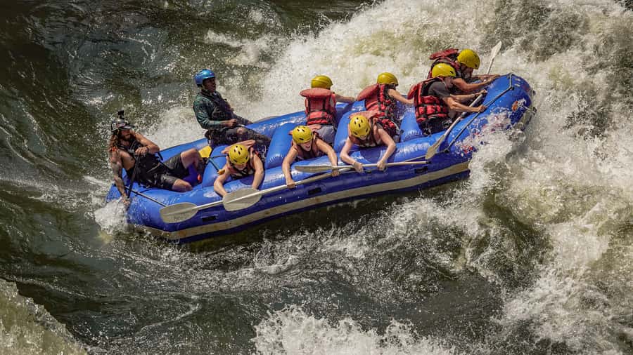 From Kasane: Full-Day White Water Rafting - Key points before you book