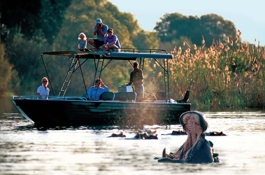 From Livingstone: Victoria Falls River Safari - A fast start on the upper Zambezi