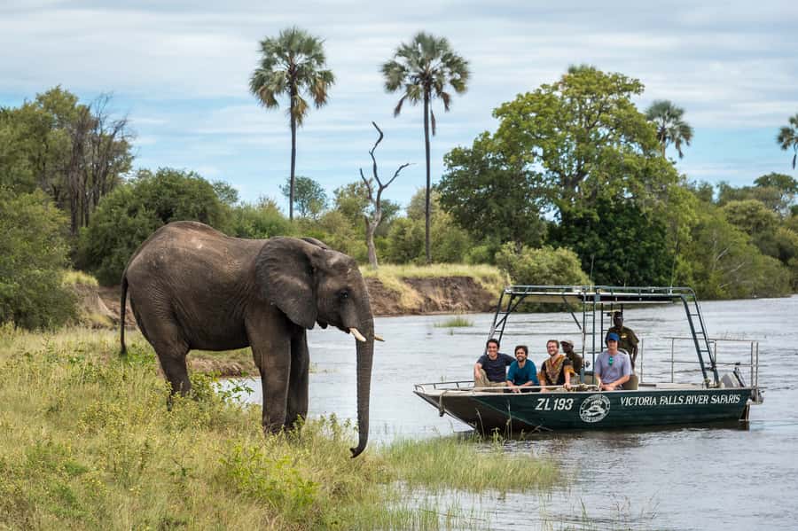From Livingstone: Victoria Falls River Safari - Comfort, access, and what to pack