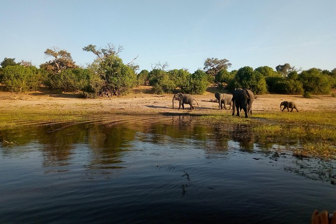 From Victoria Falls: Chobe National Park Small Group Tour - Who will enjoy this day most