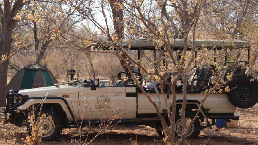 From Victoria Falls: Sunrise to Sunset Chobe Safari - The first Chobe game drive after the gates open