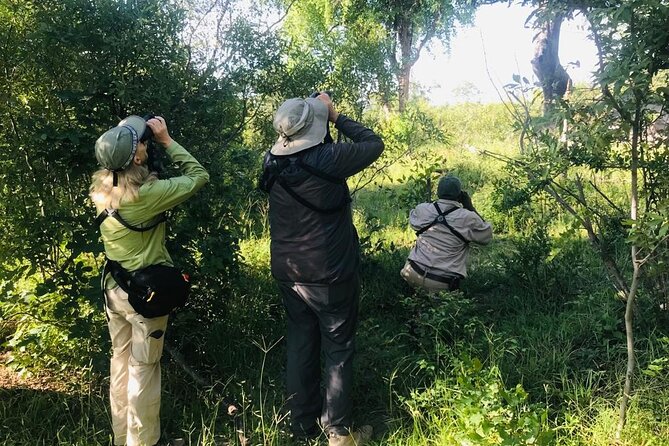 Full Day Birding Zambezi National Park Includes Picnic Lunch - Key Things to Know Before You Book