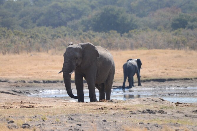 Full Day Chobe Trip with Lunch - Seeing Chobe from the river