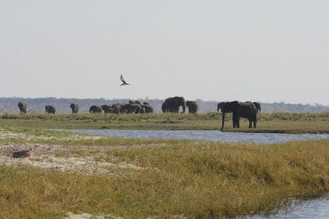 Full Day Hwange Day Trip - Is $260 good value?