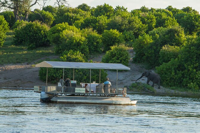 Full-Day Safari Chobe National Park and boat safari - Five things to know before you book