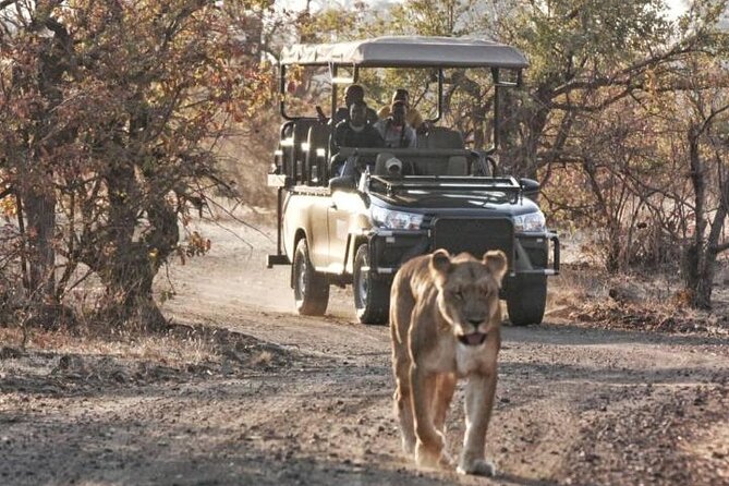 Full-Day Zimbabwe Zambezi National Park Safari & Lunch - A private guide changes the feel of the day