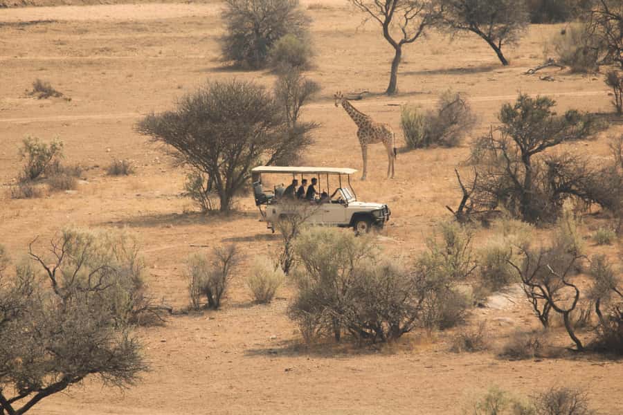 Game drive in Victoria Falls - Key points to know before booking