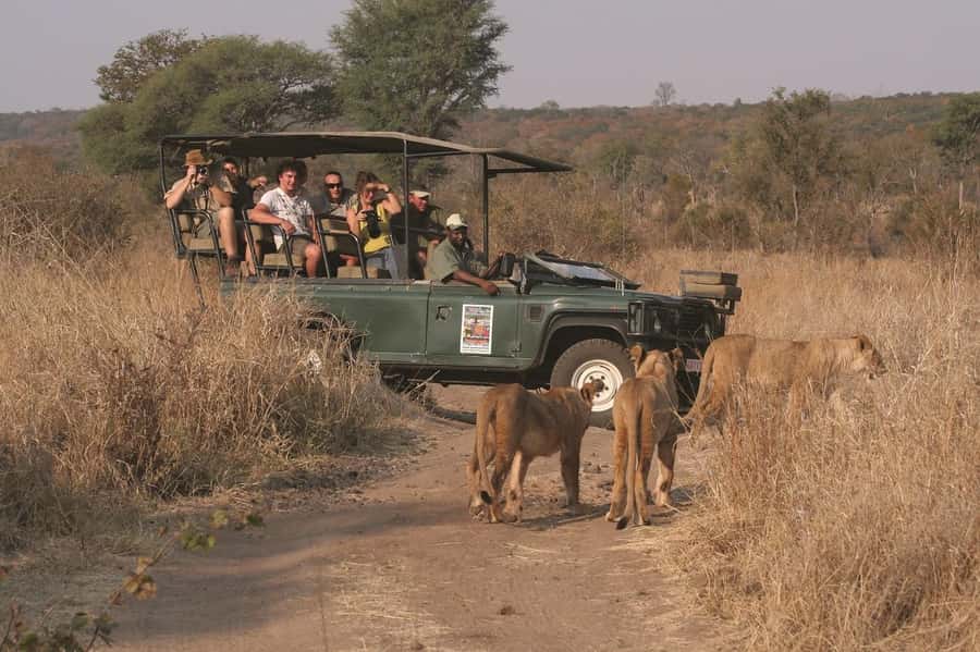 Game drive in Victoria Falls - Is $100 a fair price?