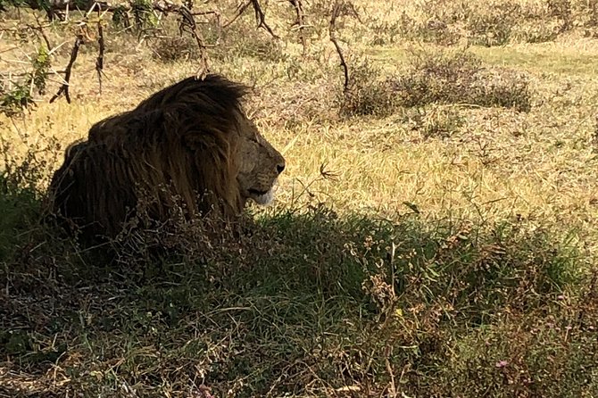 Game Drive in Zambezi National Park Morning or Afternoon - Wildlife sightings: rewarding, but not predictable