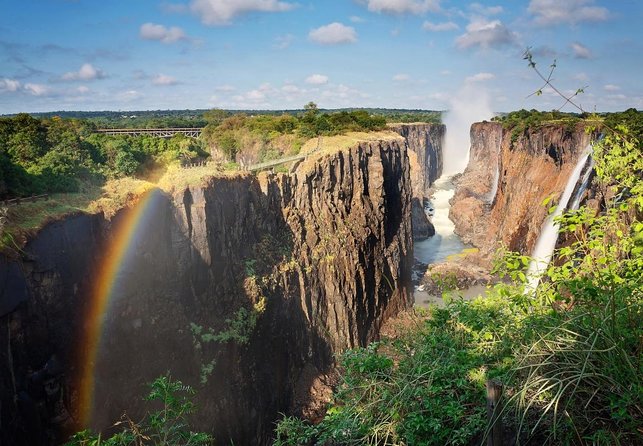Game Drives - Key points to know before booking
