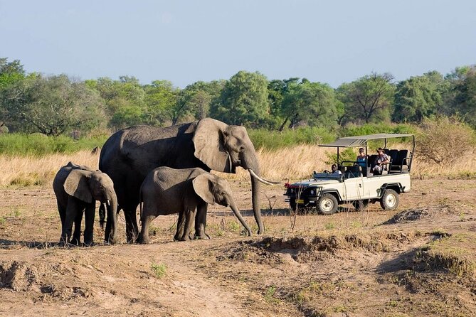 Game Drives in the Zambezi National Park - What the drive is really about: finding animals
