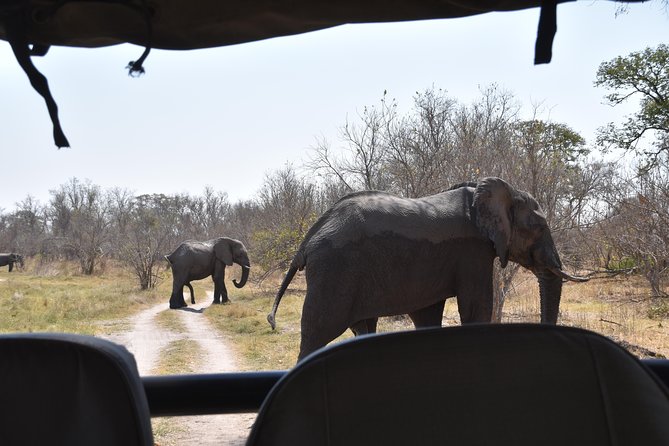 Game Drives - From the hotel to the park entrance