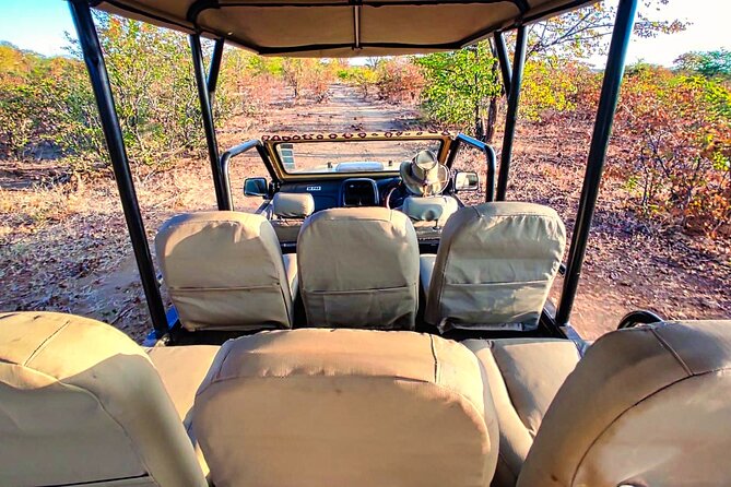 Guided 4x4 Town Safari in Victoria Falls - What the guides add to the ride