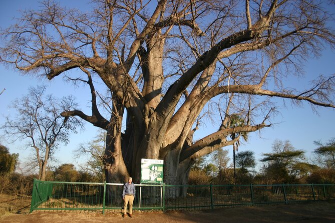 Guided 4x4 Town Safari in Victoria Falls - Is $38 a fair price?