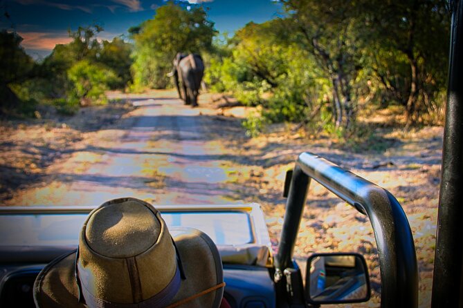 Guided 4x4 Town Safari in Victoria Falls - Chinotimba and the local side of town