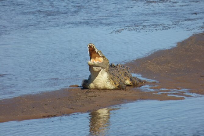 Guided Falls Tour & Zambezi River Cruise Combo - Why the guided format adds value
