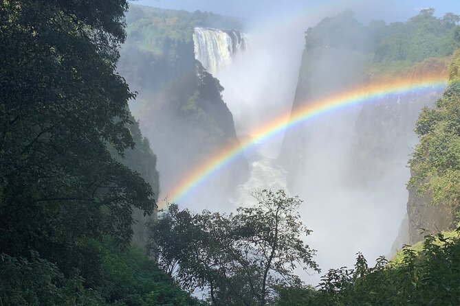 Guided Tour of the Falls Rainforest - Why a guided walk adds value at Victoria Falls