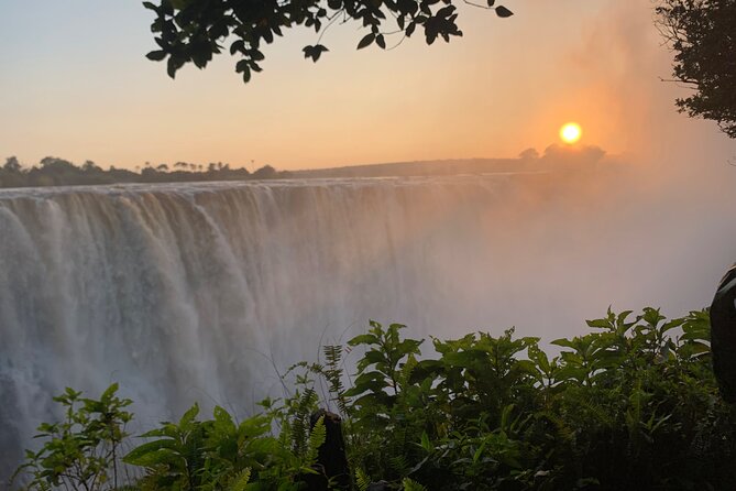 Guided Tour of the Falls Rainforest - What the viewpoints offer