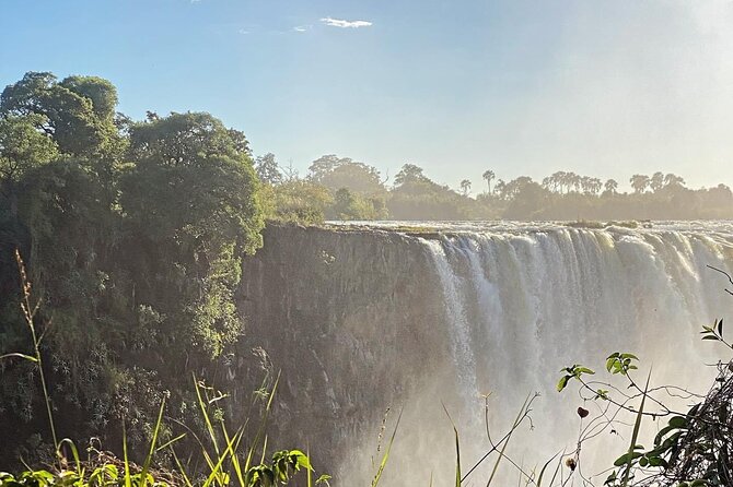 Guided Tour of the Falls Rainforest - Timing your two to three hours
