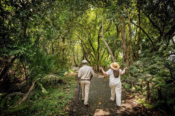 Guided Tour of the Falls Rainforest - Who should book this tour?