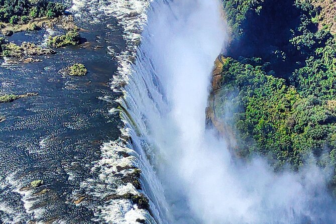 Guided Tour of the Falls (ZIM side) Wildlife Safari, by Savannah - The Victoria Falls rainforest begins at the entrance