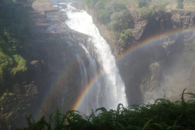 Guided Tour of the Falls (Zimbabwe side) - Walking through the rainforest and spray