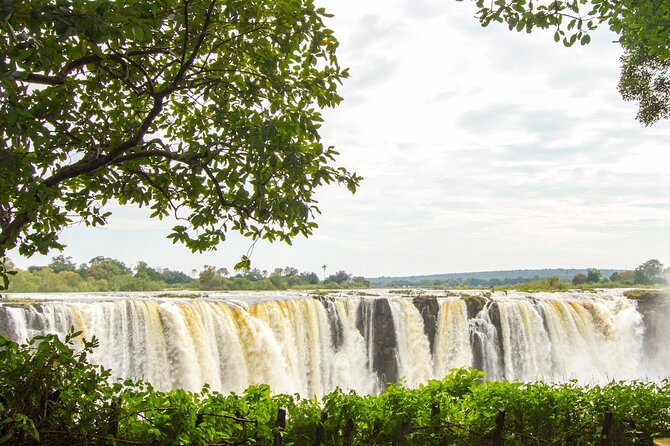 Guided Tour of the Falls (Zimbabwe side) - Who will enjoy this tour most?