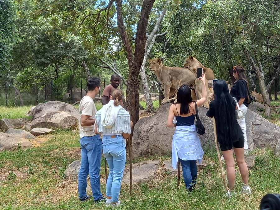 Harare: Half Day Outdoor Adventure - A Half-Day Plan for Seeing Harare and Wildlife