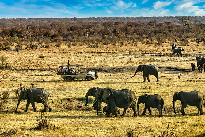 High Tea in the Savannah, Catering by Victoria Falls Hotel - Practical details that matter