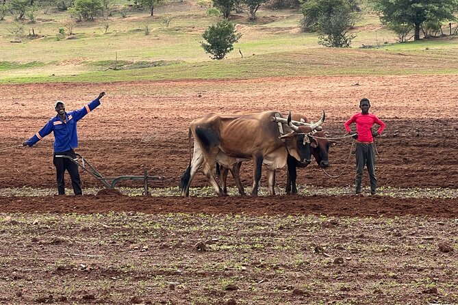 Horse Riding Community Village Tour Experience - Following the route toward Batoka Gorge
