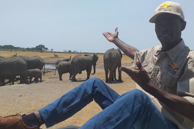 Hwange National Park Full Day Trip - The three-hour morning game drive