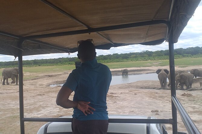 Hwange National Park Full Day Trip - The afternoon drive and water holes