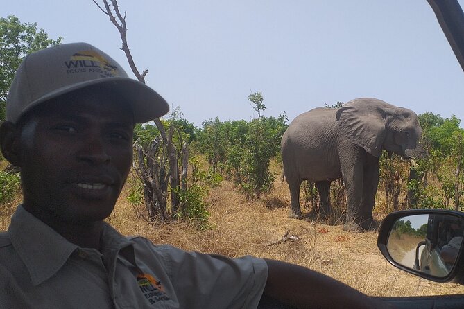 Hwange National Park Full Day Trip - The $365 price and the extra $20