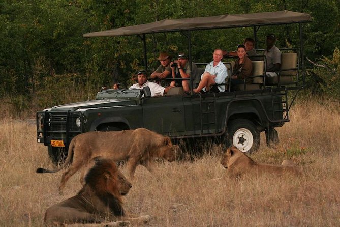 Hwange (Safari) Day Trip from Victoria Falls - Why Hwange is worth the long road from Victoria Falls