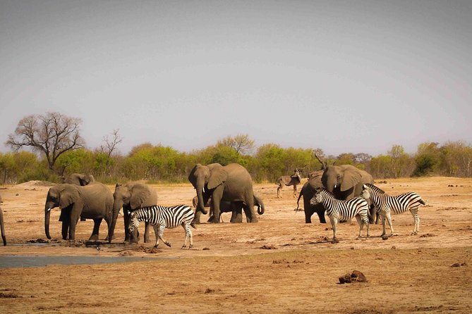 Hwange (Safari) Day Trip from Victoria Falls - Entering Hwange National Park for the morning drive