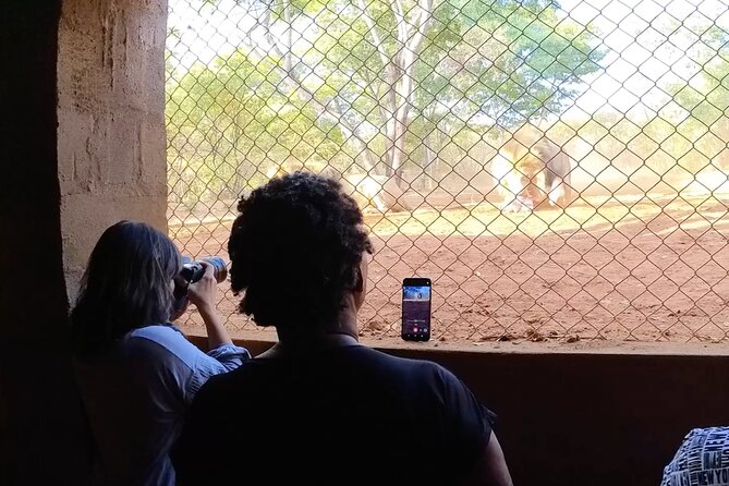 Lion & Wildlife Sanctuary Excursion Victoria Falls - The pride drive inside the 25-acre enclosure