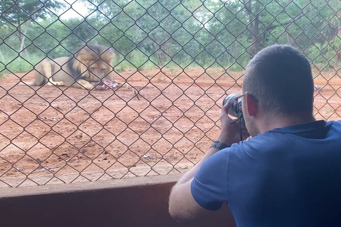 Lion & Wildlife Sanctuary Excursion Victoria Falls - Guide Liki and the teaching element