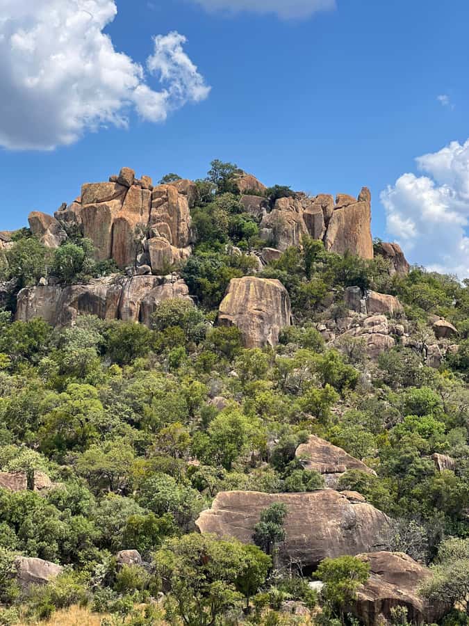 Matobo Hills Day Trip with Rhino Tracking - Snacks, a late lunch, and local flavors