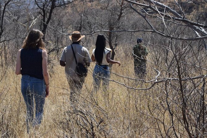 Matobo Rhino Encounter - Learning To Read the Bush With Mzingeli