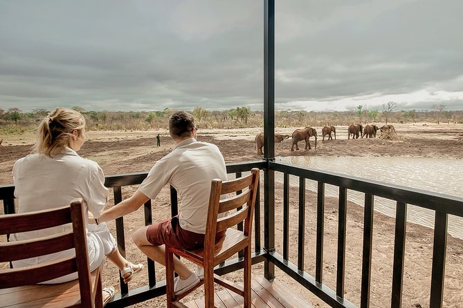 Moments with Elephants - What the small group changes