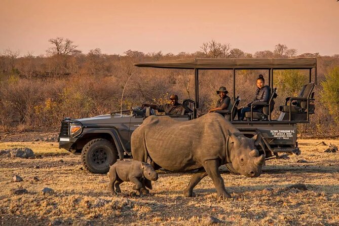 Morning or Afternoon Game Drive In Victoria Falls - Key points at a glance