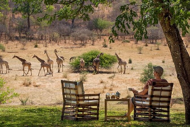 Morning or Afternoon Game Drive In Victoria Falls - Three hours among savannah and woodland