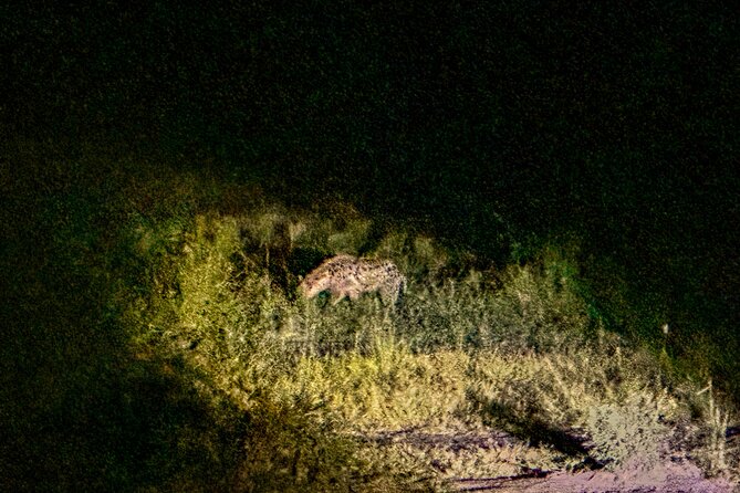 Night Game Drive in Zambezi National Park and Victoria Falls - Family Suitability and Group Size