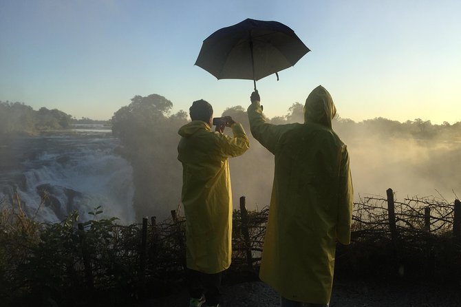 Private Guided Tour of the Falls with Pickup - Who should book this private falls visit?