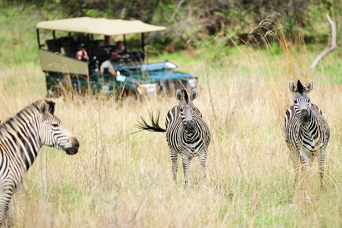 Safari Game Drive in Zambezi National Park with Hotel Pickup - Entering an unfenced Zambezi wilderness