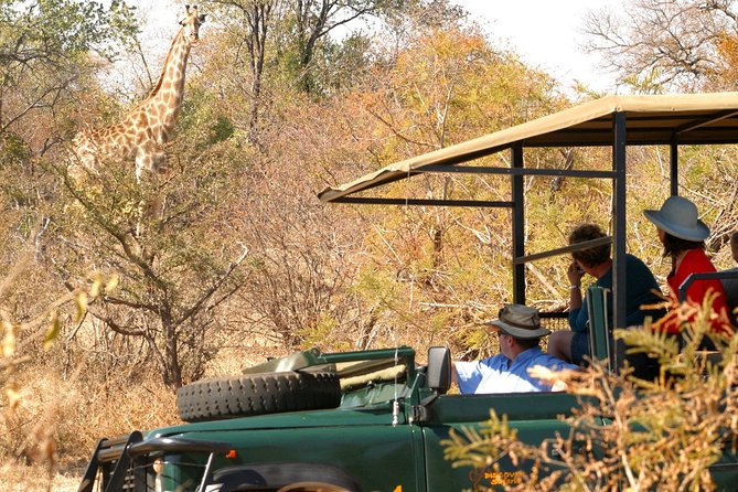 Safari Game Drive in Zambezi National Park with Hotel Pickup - Physical effort and group size