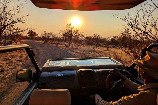 Safari in Victoria Falls and Zambezi National Park - What the guide adds to the drive